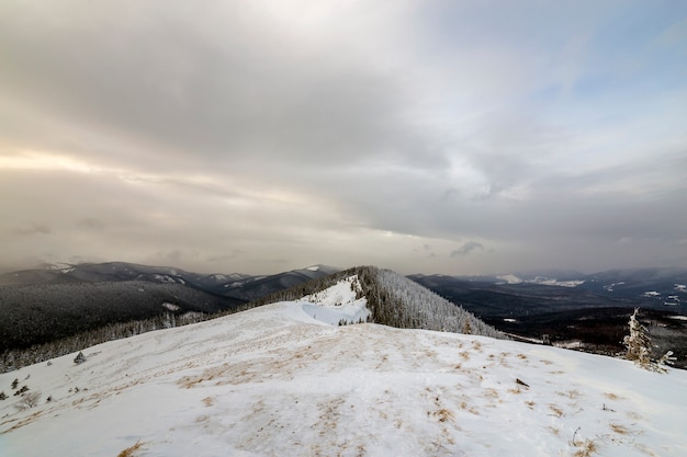 Winterberglandschaft, schneebedeckte Spitzen und gezierte Bäume unter bewölktem Himmel am kalten Wintertag.