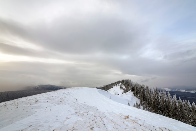 Winterberglandschaft, schneebedeckte Spitzen und gezierte Bäume unter bewölktem Himmel am kalten Wintertag.