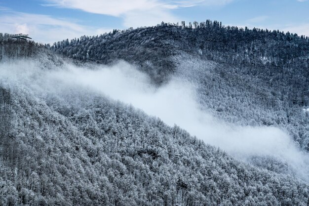 Winterberglandschaft Schneeverwehungen im Winter schneebedeckte Bergtannen auf einem Hügel und blauer Himmel