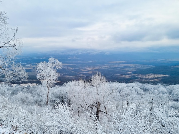 Winterberglandschaft Wald und Berge mit Schnee bedeckt