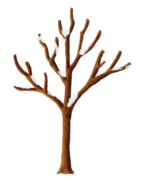 Winterblattloser Baum png-Aufkleber saisonale botanische Illustration durchsichtiger Hintergrund