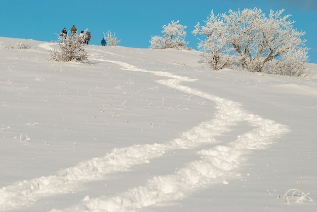 Wintereiswald