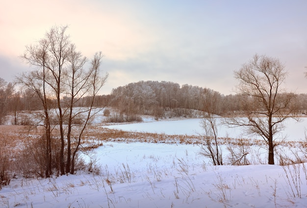 Winterfeld am Morgen. Kahle Bäume zwischen Schneeverwehungen, Wald am Horizont