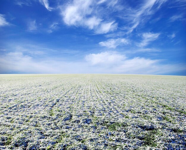 Winterfeld und Wolken im Himmel