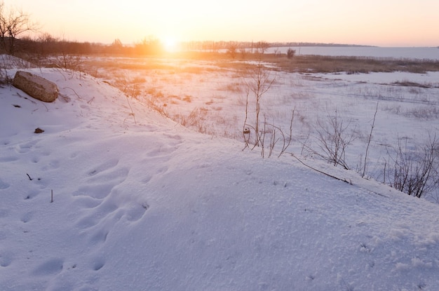 Winterfeldlandschaft mit den frostigen Bäumen, die von sanftem Sonnenuntergang beleuchtet werden, verschneite Landschaftsszene in warmen Tönen mit schneebedecktem Feld und mit Frost bedeckten Bäumen
