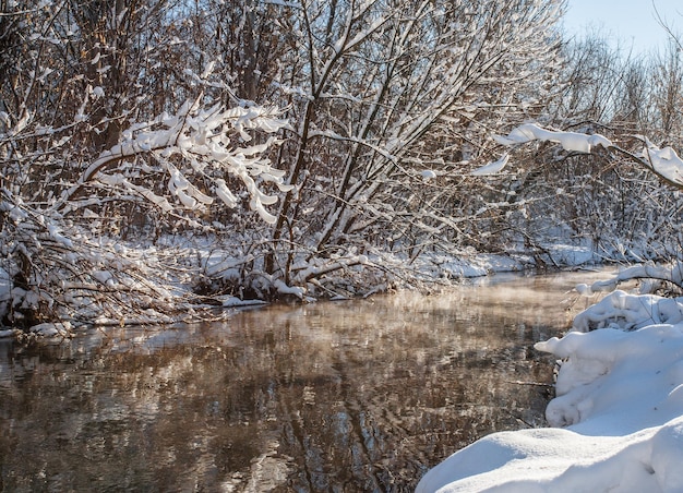 Winterfluss und Bäume in der Saison