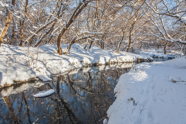 Winterfluss und Bäume in der Saison