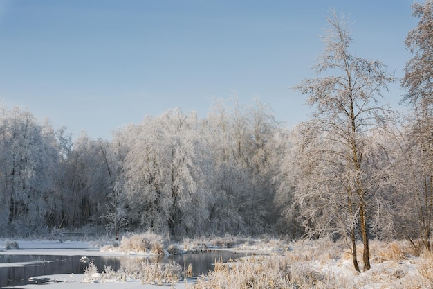 Winterflussblick auf die verschneite Waldwinternatur