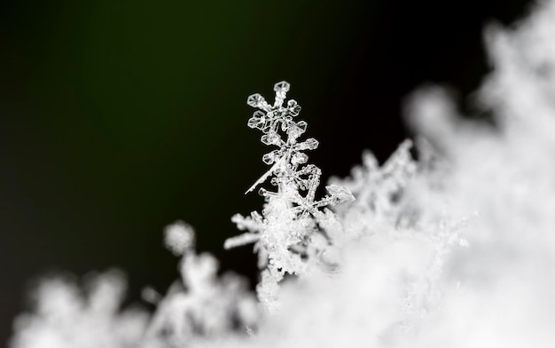 Winterfoto von Schneeflocken im Schnee