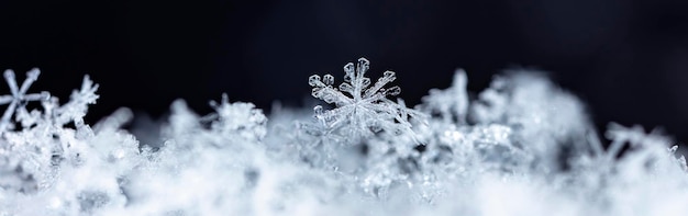 Winterfoto von Schneeflocken im Schnee