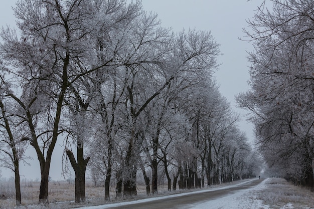 Wintergasse