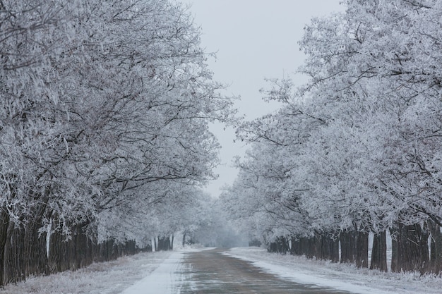 Wintergasse