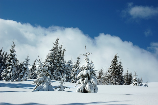 Wintergebirgslandschaft mit schneebedeckten Straßenwaldhügeln sn