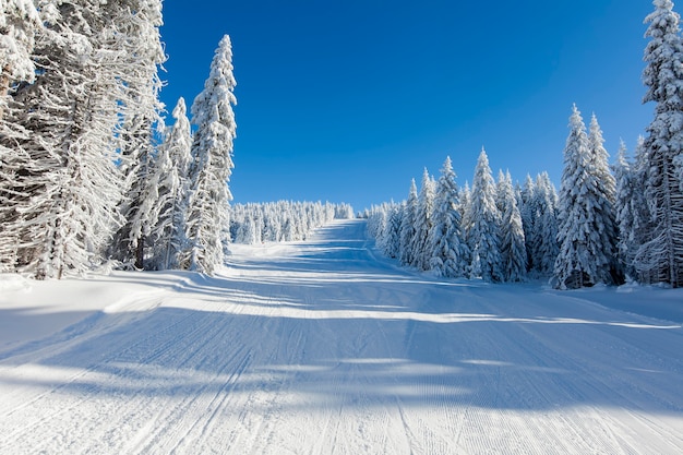 Wintergebirgslandschaft