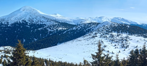 Wintergebirgspanoramaansicht auf Berg Goverla, Ukraine, Karpaten.