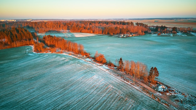 Wintergrün Landwirtschaftliche Feldwinterkulturen unter Schnee. Bunte Bäume Dezember Sonnenuntergang Luftszene. Ländlicher Feldweg. Draufsicht auf das Land. Region Minsk, Weißrussland