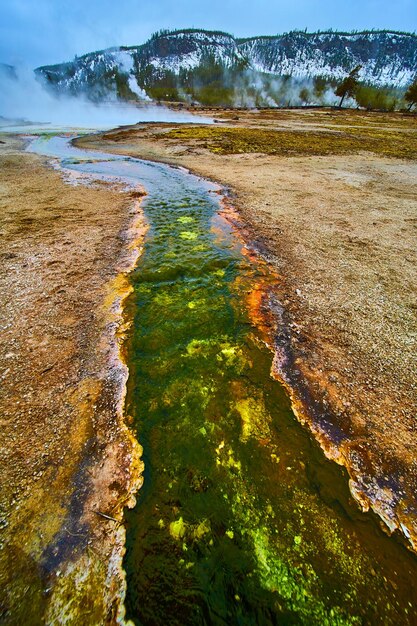 Wintergrüne Bäche in Yellowstone auf Becken