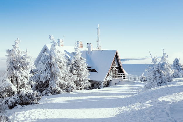 Winterhaus mit Schneewald