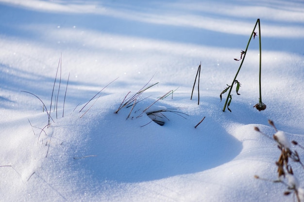 Winterhintergrund mit Schneeverwehungen Wintergartenlandschaft mit Schneeverwehungen