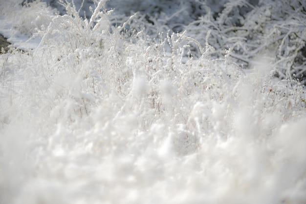 Winterhintergrund und Schneeflocken auf Hintergrund