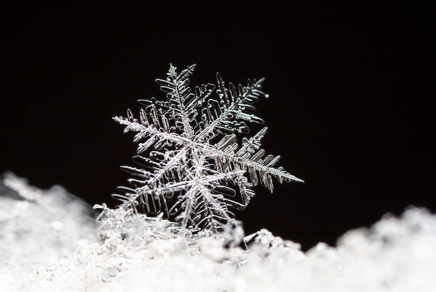 Winterkarte, Schneekristalle, Winterfoto