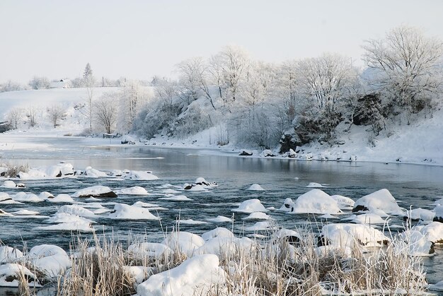 Winterlandschaft am Fluss mit Steinkamm und frostbedeckten Bäumen