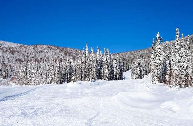 Winterlandschaft an einem sonnigen Tag