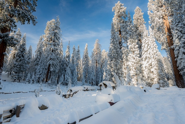 Foto winterlandschaft auf dem berg morgens