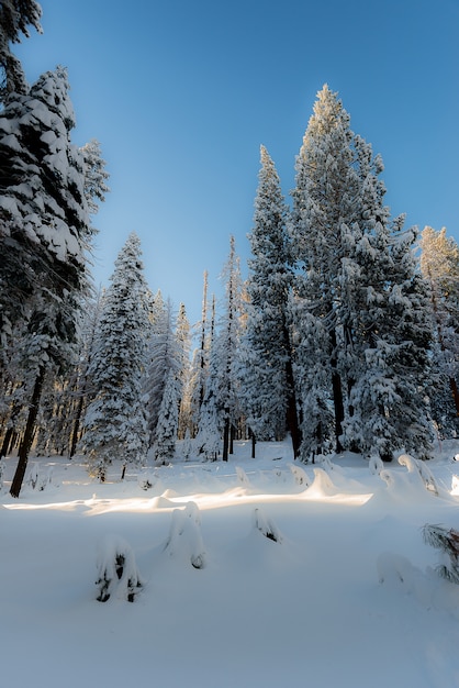 Winterlandschaft auf dem Berg morgens