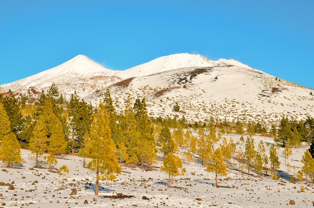 Winterlandschaft auf dem Hochgebirge