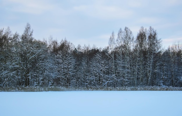 Winterlandschaft auf dem Land Lettland Osteuropa