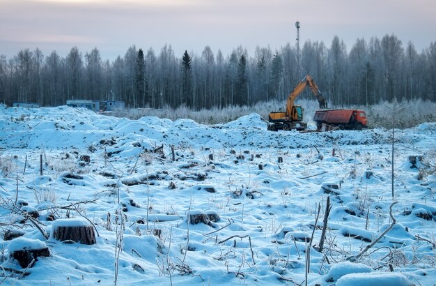 Winterlandschaft auf einem Feld