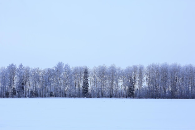 Winterlandschaft Bäume mit Raureif