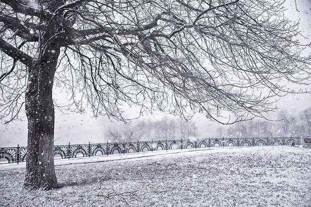 Winterlandschaft Bäume mit Raureif