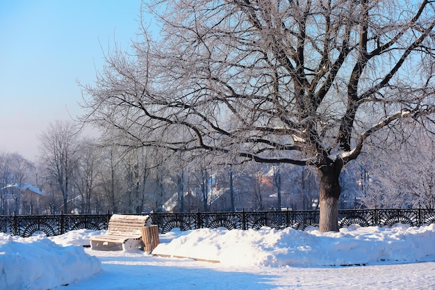 Winterlandschaft Bäume und Pflanzen mit Schnee bedeckt Die Schönheit schneebedeckter Wege Schneefall und Abkühlung in touristischen Gebieten