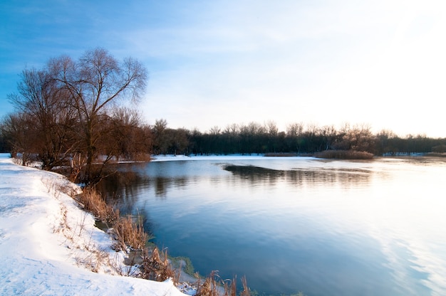 Winterlandschaft, blauer Himmel und strahlendes Sonnenlicht, schneebedecktes Seeufer, Bäume wachsen am Horizont