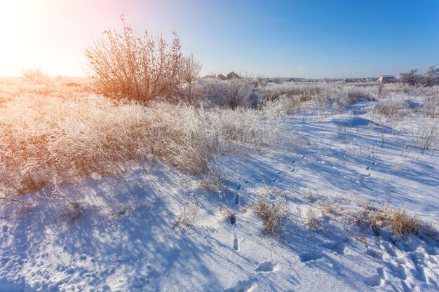 Winterlandschaft der frostigen Bäume