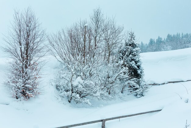 Winterlandschaft der Karpaten