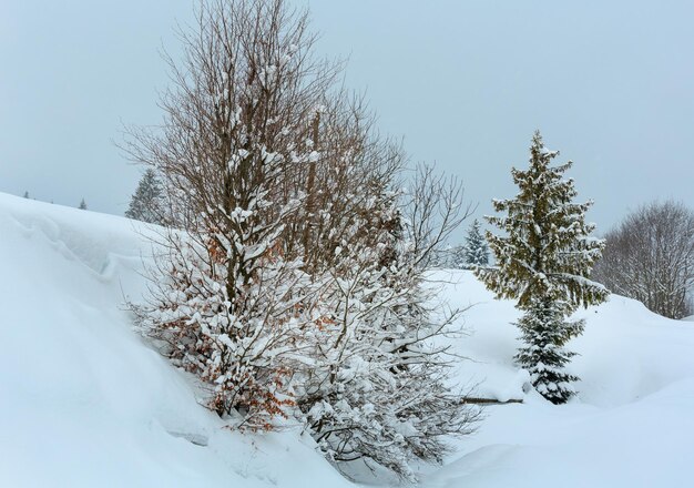 Winterlandschaft der Karpaten