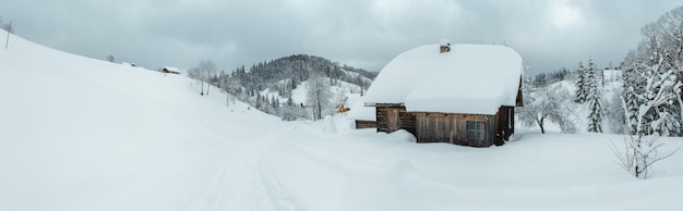 Winterlandschaft der Karpaten