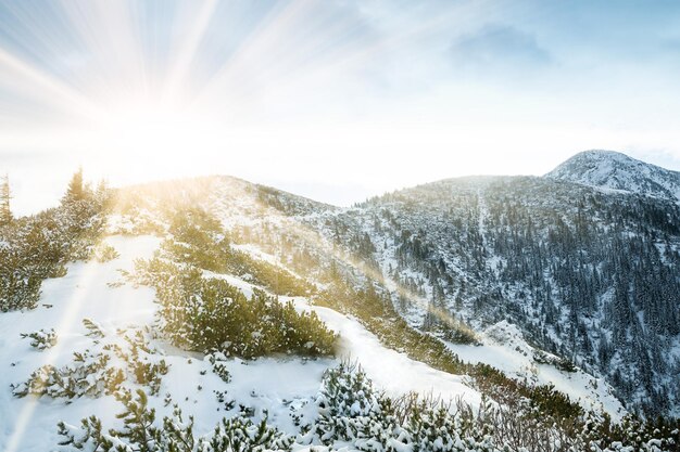 Winterlandschaft der Tatry-Berge im Winter, Polen. . Foto in hoher Qualität