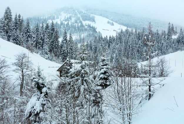 Winterlandschaft der ukrainischen Karpaten