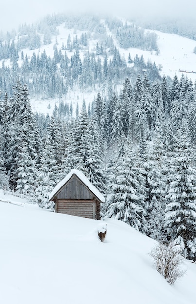 Winterlandschaft der ukrainischen Karpaten