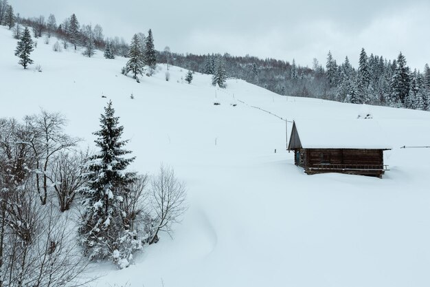 Winterlandschaft der ukrainischen Karpaten