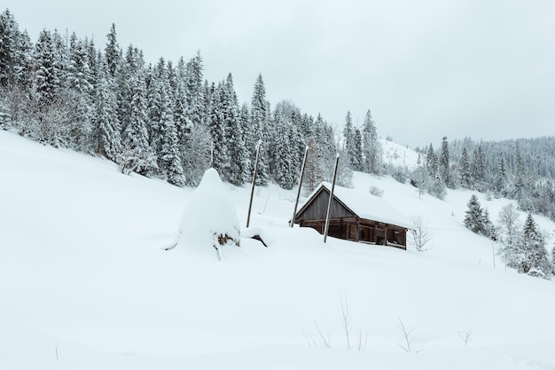 Winterlandschaft der ukrainischen Karpaten