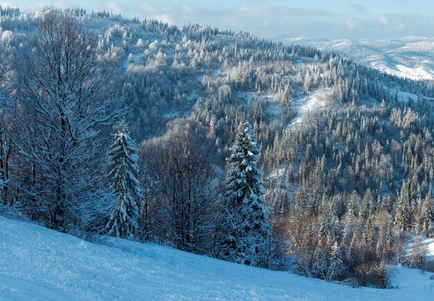 Winterlandschaft der ukrainischen Karpaten