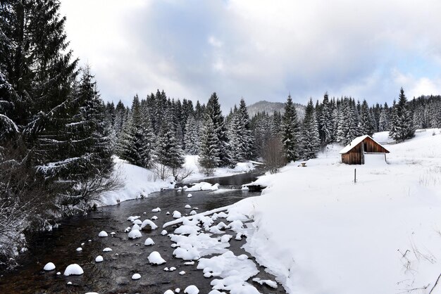 Foto winterlandschaft eines kleinen schneebedeckten flusses