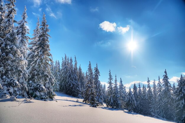 Winterlandschaft HDR