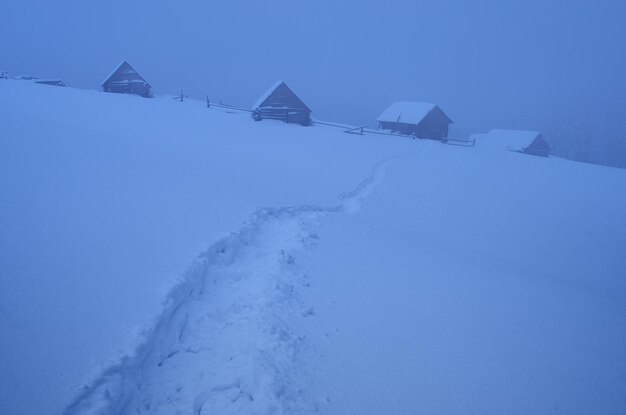 Winterlandschaft im Gebirgswald