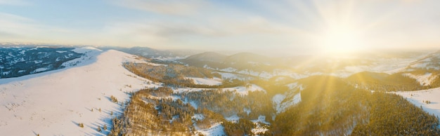 Winterlandschaft im Nebel mit Schnee und mit Raureif und gefrorenem Schnee bedeckten Zweigen Hochwertiges Foto